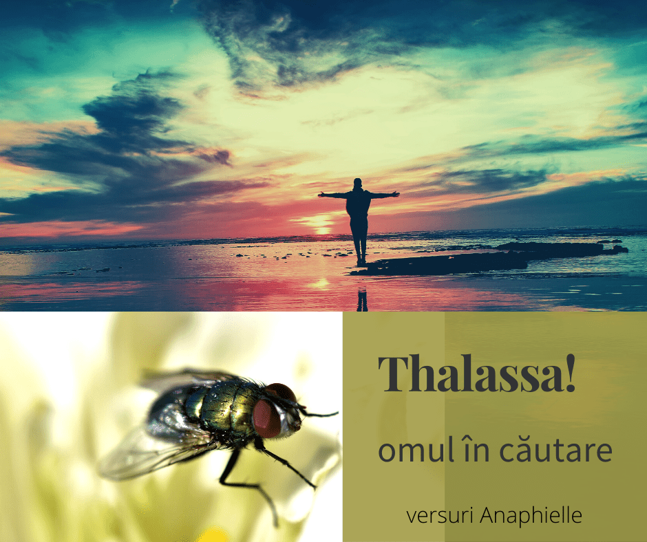 Guestpost: Thalassa!-versuri scrise de Anaphielle