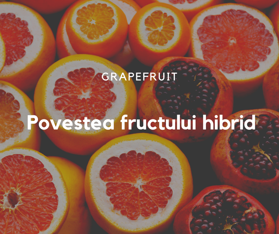 Grapefruit Fructe