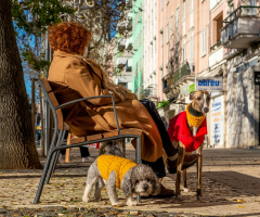 The Positive Impact Pets Have on Your Mental Health