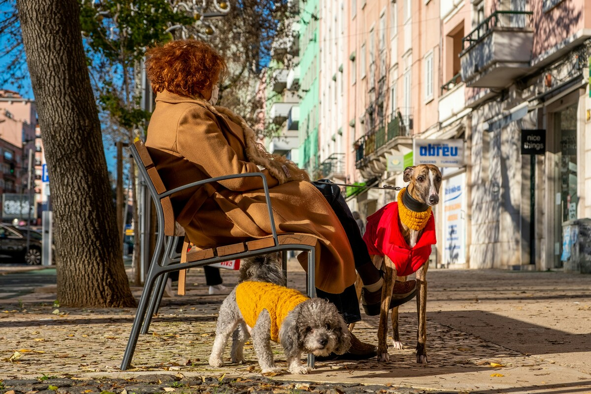 The Positive Impact Pets Have on Your Mental Health 1 The Positive Impact Pets Have